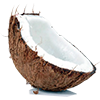 coconut